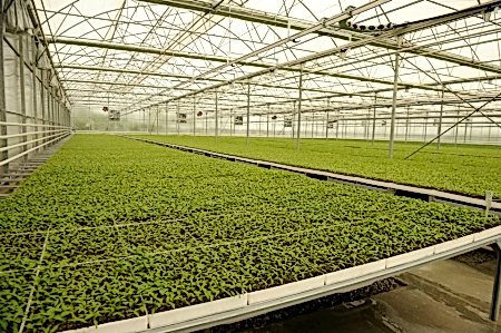 8 ARYA SERA SİSTEMLERİ